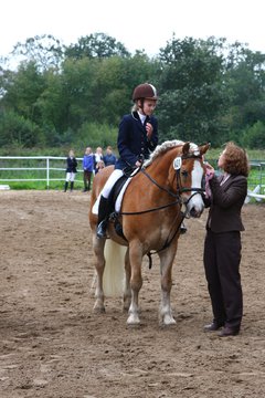 Bild 1067 - WBO-Turnier am 18.9.11